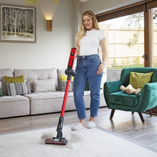 Aspirateur sans fil puissant professionnel