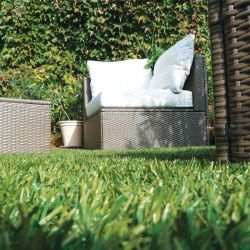 Gazon synthétique 30 mm 400 cm x 25 m pâturages