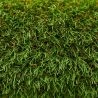 Gazon synthétique 30 mm 25 x 4 m pâturages