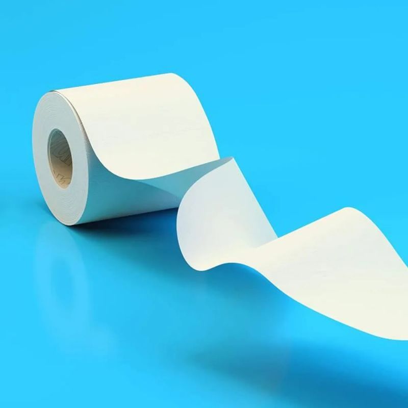 Papier toilette recyclé 3 plis 72 rouleaux Renova Papier toilette recyclé 3 plis 72 rouleaux Renova