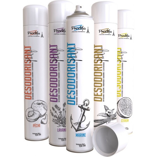 Désodorisant parfum d'ambiance aérosol 750 ml Désodorisant parfum d'ambiance aérosol 750 ml