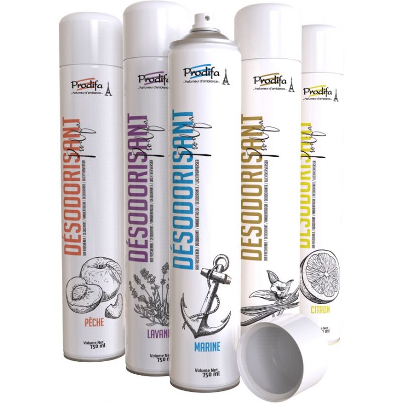 Désodorisant parfum d'ambiance aérosol 750 ml Désodorisant parfum d'ambiance aérosol 750 ml