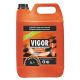Détergent industriel ammoniaqué bidon de 5 L Vigor