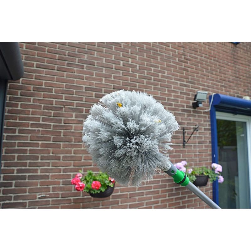 Brosse tête de loup Star Duster