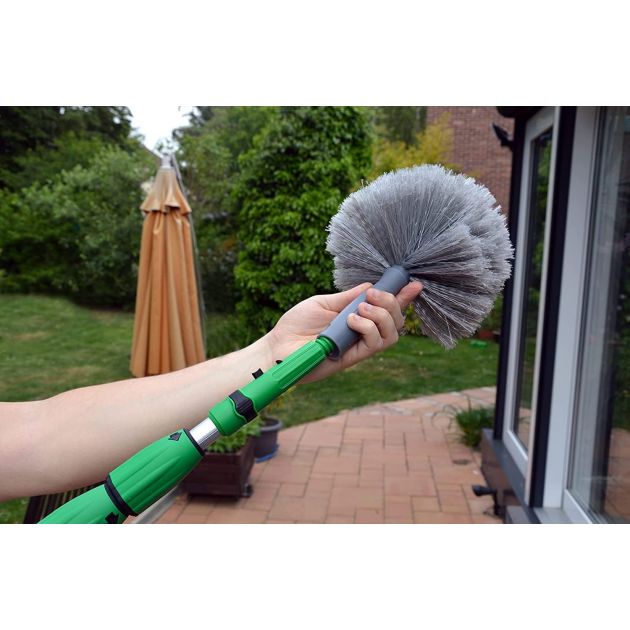 Brosse tête de loup Star Duster