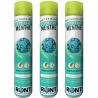 Assainissant bactéricide parfum menthe 1 L Ront - lot de 3