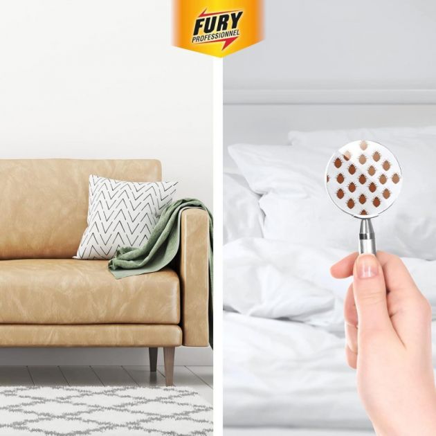 Fury tue punaise acarien PAE 500 ml canapé acariens Fury tue punaise acarien PAE 500 ml canapé acariens