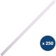 Paille blanche en papier 20 cm x250