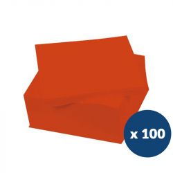 Serviette papier 38 x 38 cm x100