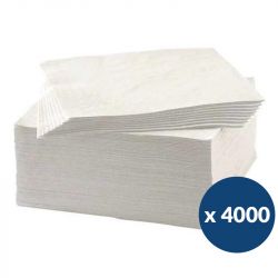 Serviette en papier recyclé blanche standard 1 pli 30x30 cm - carton de 4 000