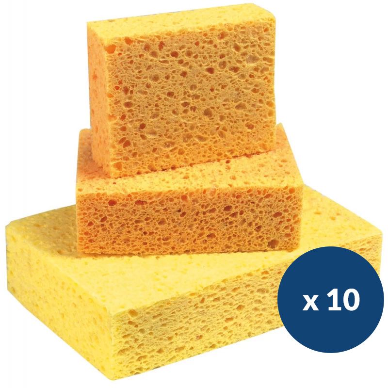 Éponge végétale professionnelle blonde Delcourt - lot de 10