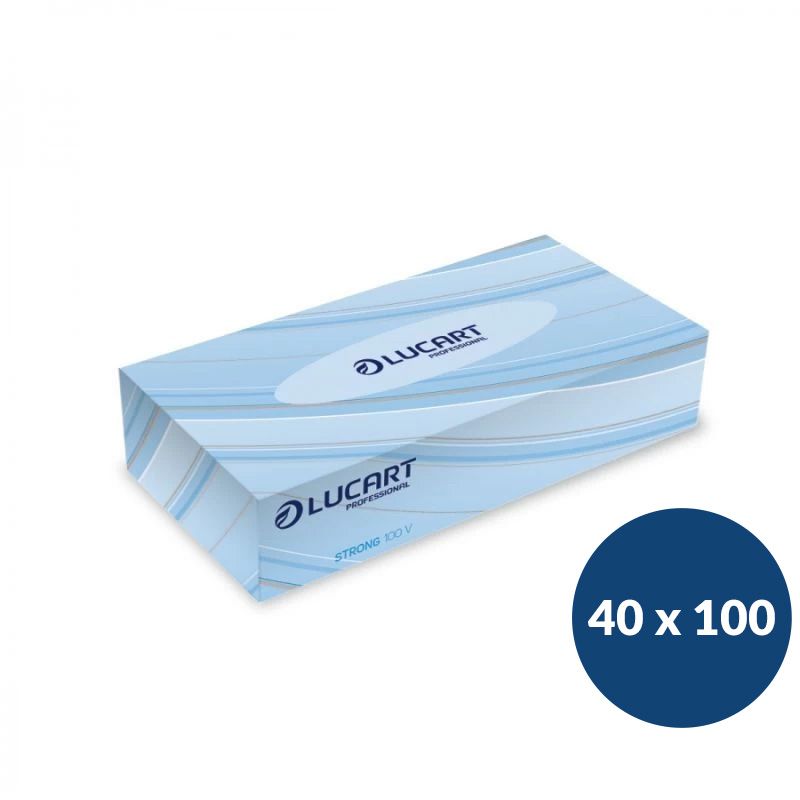 Boîte de mouchoirs papier x 100 - Lot de 40 boîtes