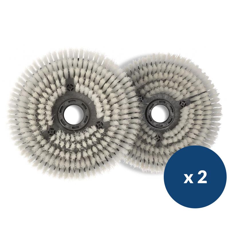 Brosses shampoing autolaveuse à batterie Numatic 244NX lot de 2
