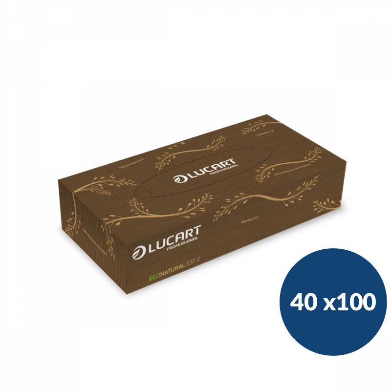 100 mouchoirs Econatural Lucart - lot de 40 boites 100 mouchoirs Econatural Lucart - lot de 40 boites