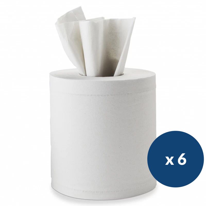 Bobines à dévidage central 450 feuilles Delcourt - colis de 6 Bobines à dévidage central 450 feuilles Delcourt - colis de 6