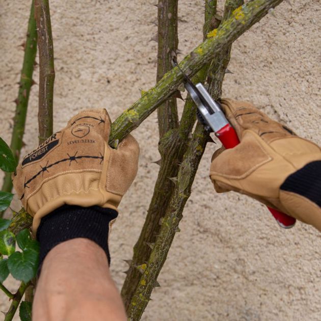 Gants debardage coupage branches