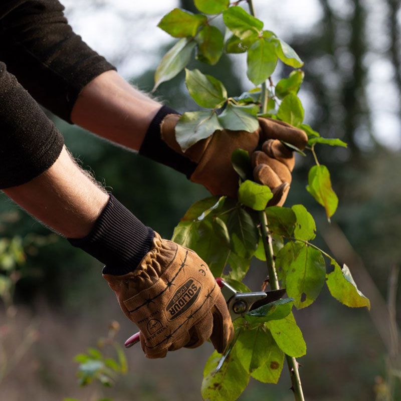 Gants debardage sécateur