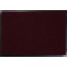 Tapis d'entrée grattant Capture rouleau 2 cm x 20 m PMR M3