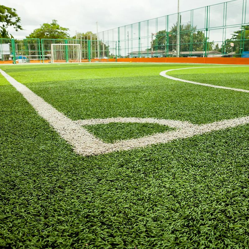 Peinture pelouse et terre battue 