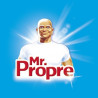 MR PROPRE