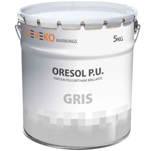 Peinture sol extérieur intérieur brillante trafic intensif gris 5 kg