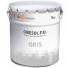 Peinture sol extérieur intérieur brillante trafic intensif gris 5 kg