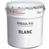 Peinture sol garage entrepôt parking brillante trafic intensif Blanc 15 kg