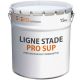 Peinture de marquage blanche pelouse bitume béton terre battue 15 kg