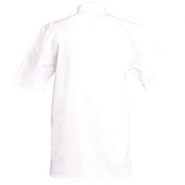 Tuniques manches courtes blanc