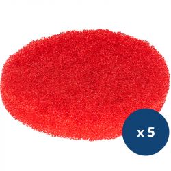 Pad rouge lustrage Lineo Compact x5