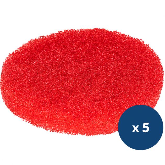 Pad rouge lustrage Lineo Compact x5