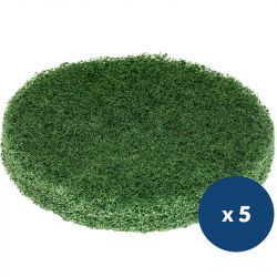 Pad vert à recurer Lineo Compact x5