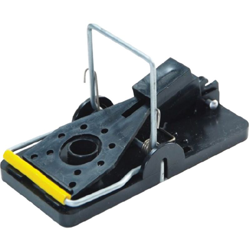 MULTICATCH MOUSE TRAP - Tapette pour poste R3257 carton de 12 unités