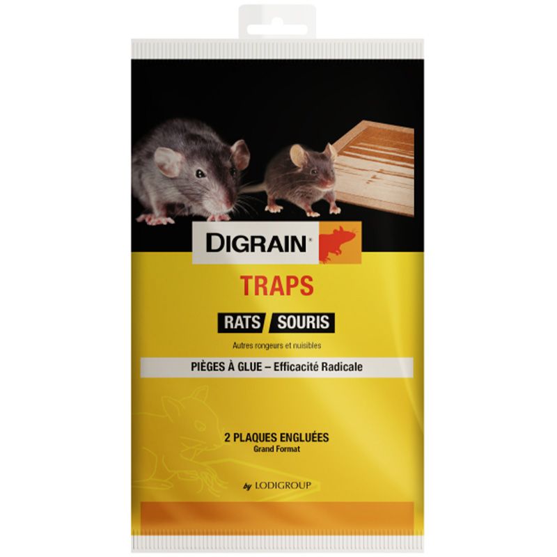 DIGRAIN TRAPS - Plaque Engluée