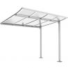 Extension abri vélo Modulo sans bardage gris