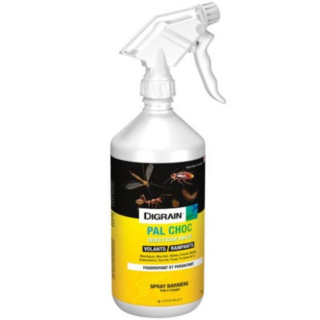 Spray insecticide rampants et volants professionnel 1 L
