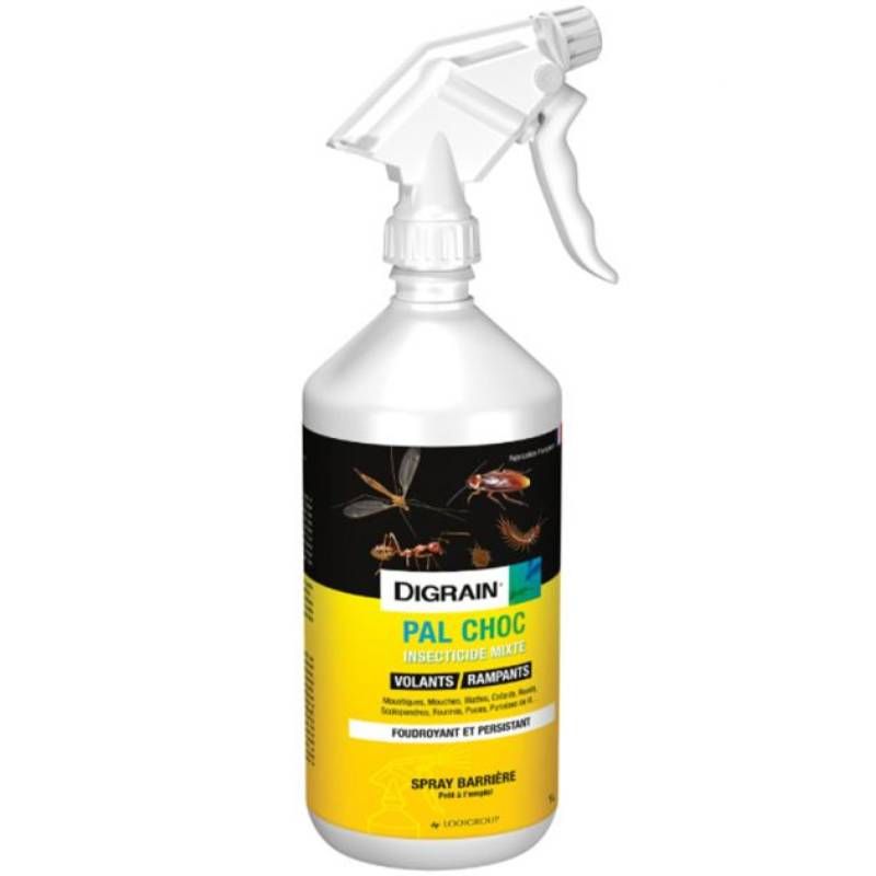 Spray insecticide rampants et volants professionnel 1 L