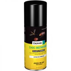 Insecticide rampants et volants instantané aérosol one shot 100 ml