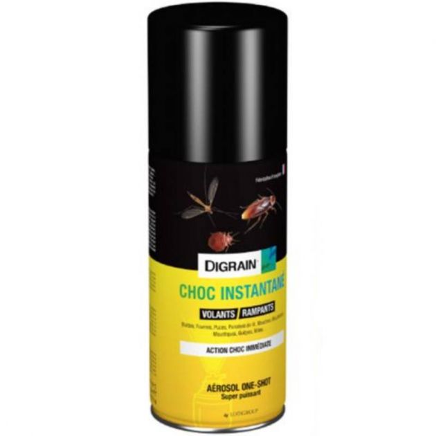 Insecticide rampants et volants instantané aérosol one shot 100 ml