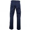 Pantalon braguette zippée multipoches bleu dos