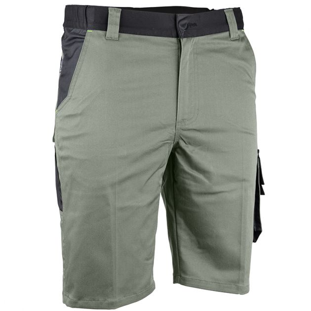 Bermuda bicolore vert