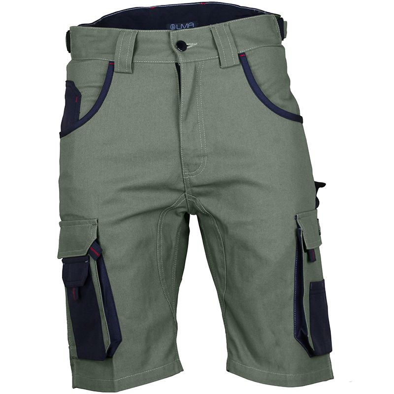 Bermuda bicolore vert