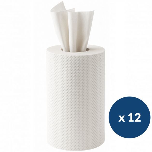 Essuie-mains à dévidage central 1 pli 125 m Delcourt - colis de 12 bobines