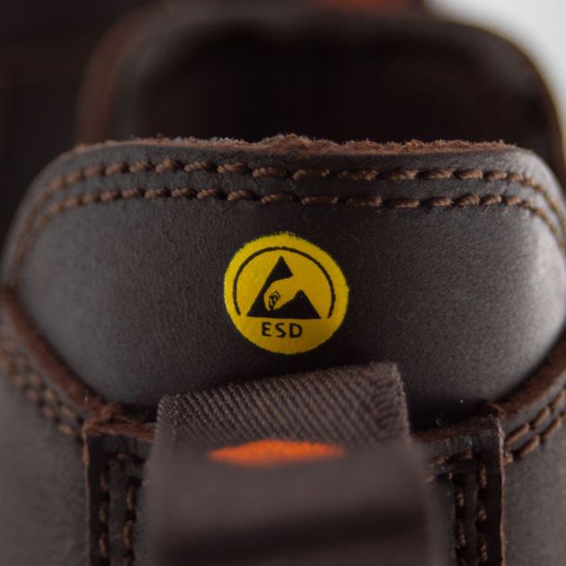 Chaussures APPALOOSA S7S zoom logo