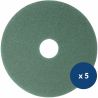 Disque de lavage et récurage vert Delcourt - lot de 5