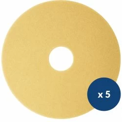 Disque de lustrage beige Delcourt - lot de 5