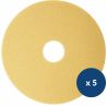 Disque de lustrage beige Delcourt - lot de 5 Disque de lustrage beige Delcourt - lot de 5