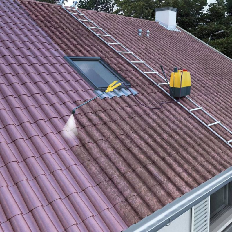 Sikagard 130 stop algues pro