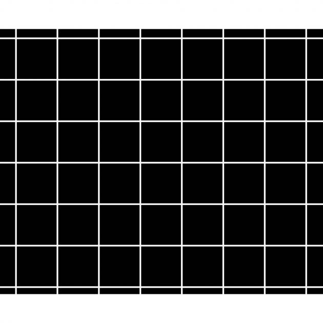 Plaques de glu Carton Noir quadrillée - 1 Face - Lot de 6 16 x 19,5 cm