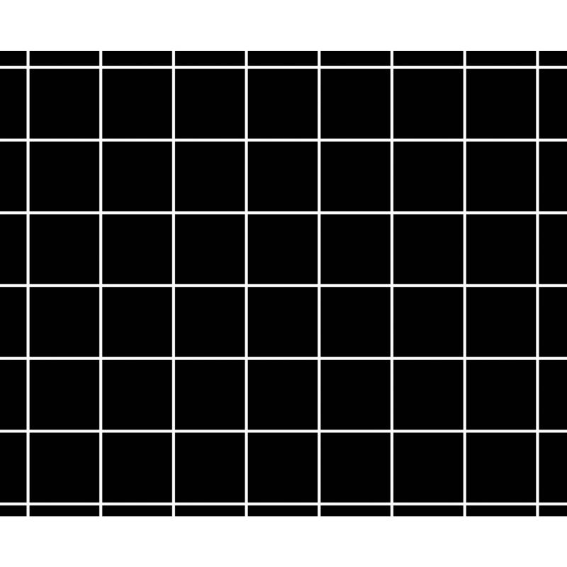 Plaques de glu Carton Noir quadrillée - 1 Face - Lot de 6 16 x 19,5 cm